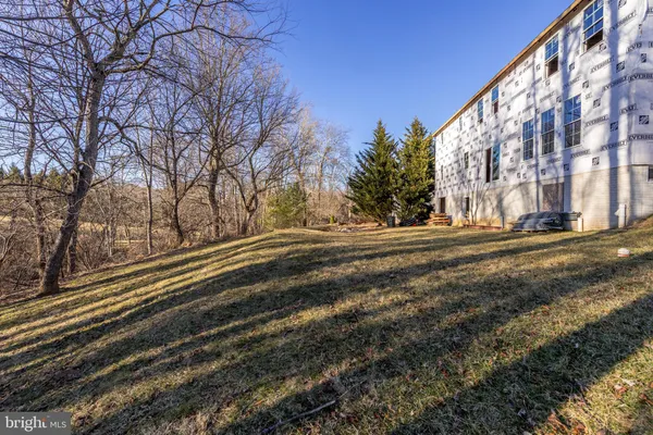 a view of a yard with trees