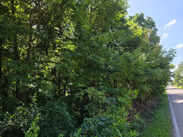 $249,900 | Lot 15 Legion Road, Yorkville, IL 60560