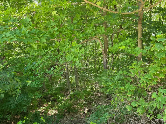 $249,900 | Lot 15 Legion Road, Yorkville, IL 60560