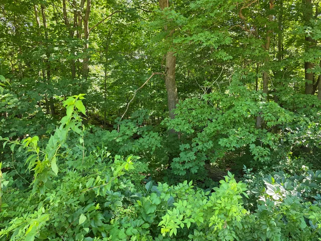 $249,900 | Lot 15 Legion Road, Yorkville, IL 60560