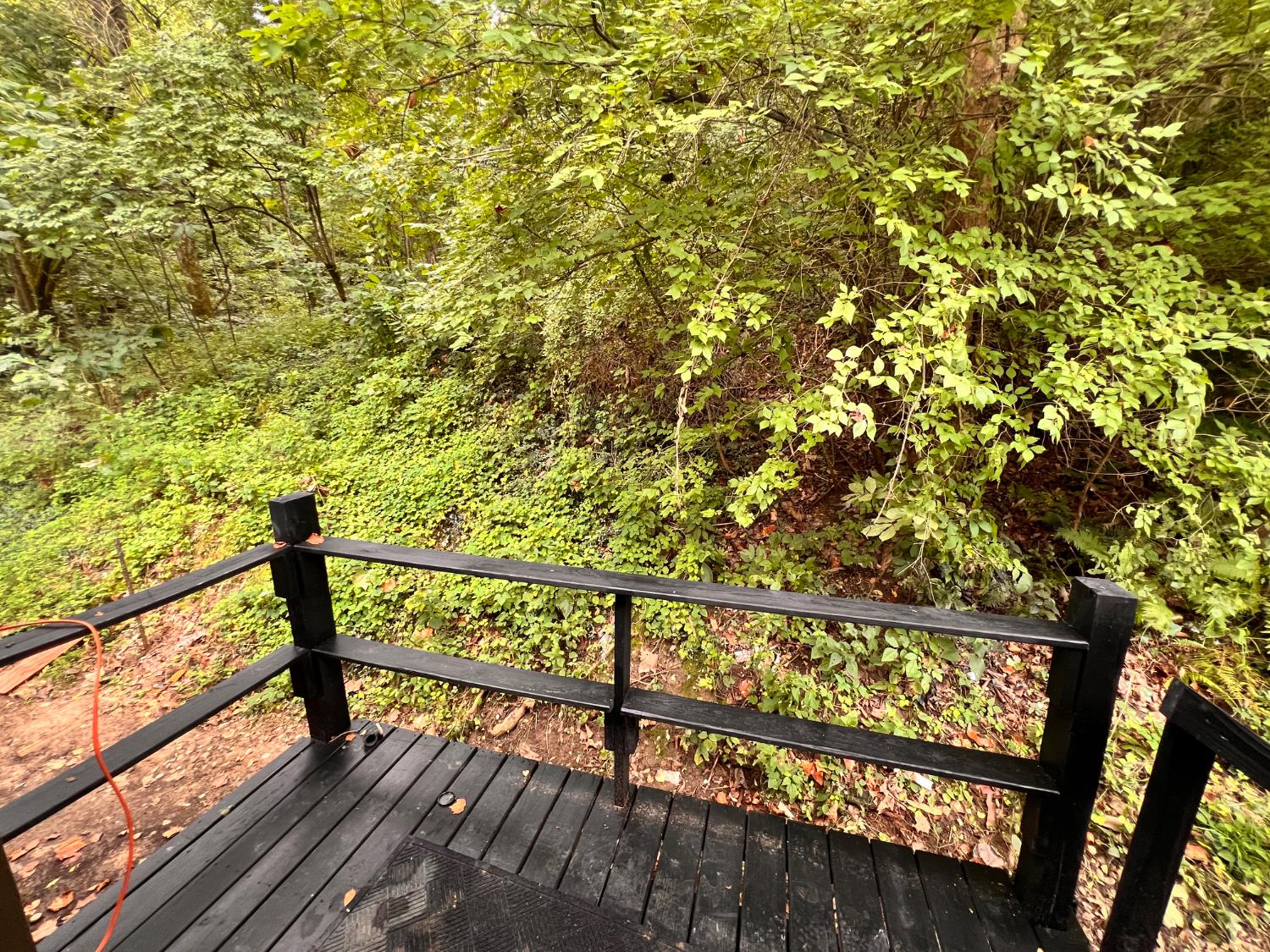 7517 Lower Dillsboro Road Aurora, IN 47001 - Photo 14 of 22 Back Deck