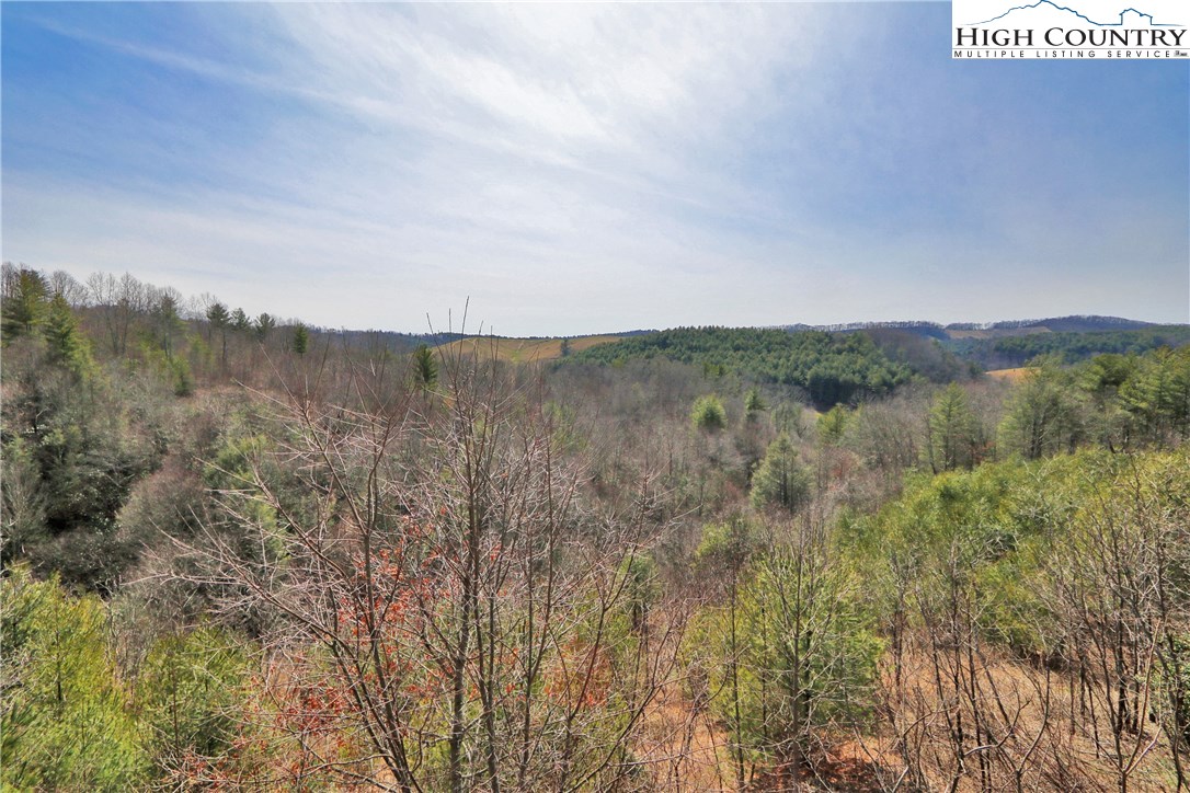 319 Edens Gate Road Deep Gap, NC 28618 - Photo 12 of 43 Gallery Image 12