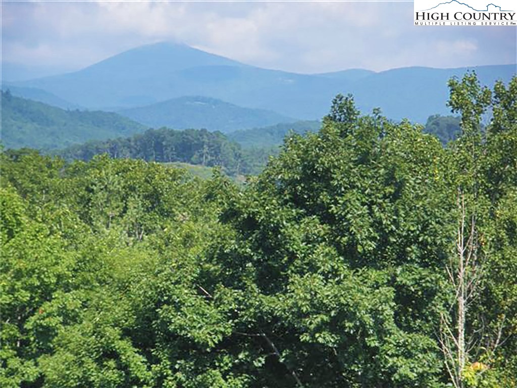 319 Edens Gate Road Deep Gap, NC 28618 - Photo 42 of 43 Gallery Image 42