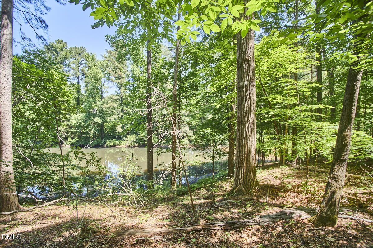 4204 Kerley Road Durham, NC 27705 - Photo 20 of 34 a view of outdoor space and trees