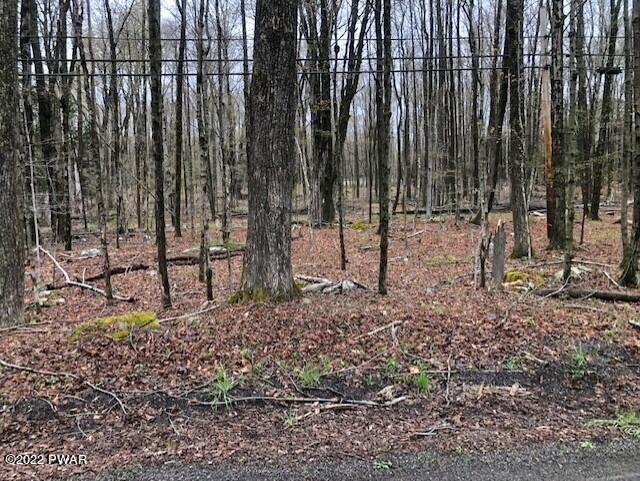 Hilltop Road Newfoundland, PA 18445 - Photo 5 of 6