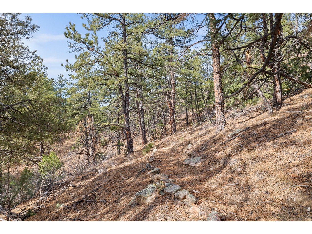 5771 Obenchain Road Laporte, CO 80535 - Photo 17 of 36