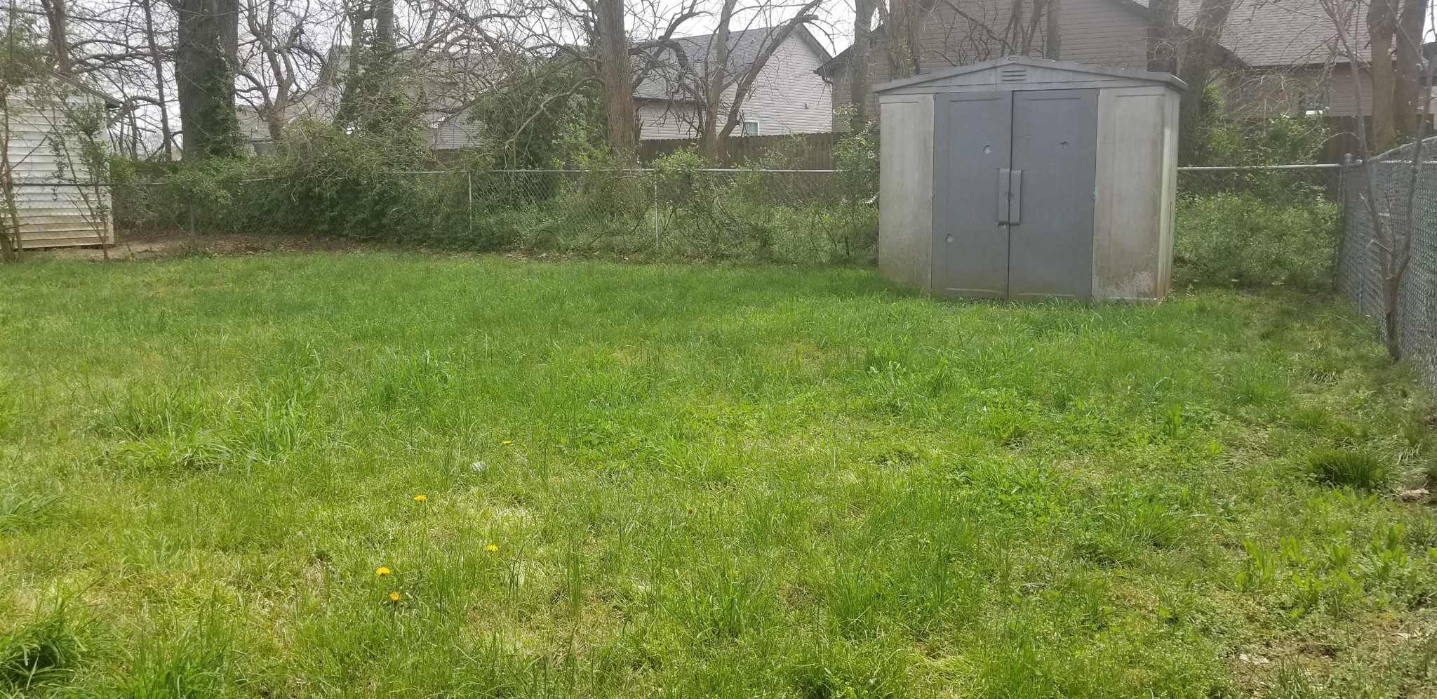 1041 Shadow Ridge Avenue Oak Grove, KY 42262 - Photo 11 of 11 a view of a backyard