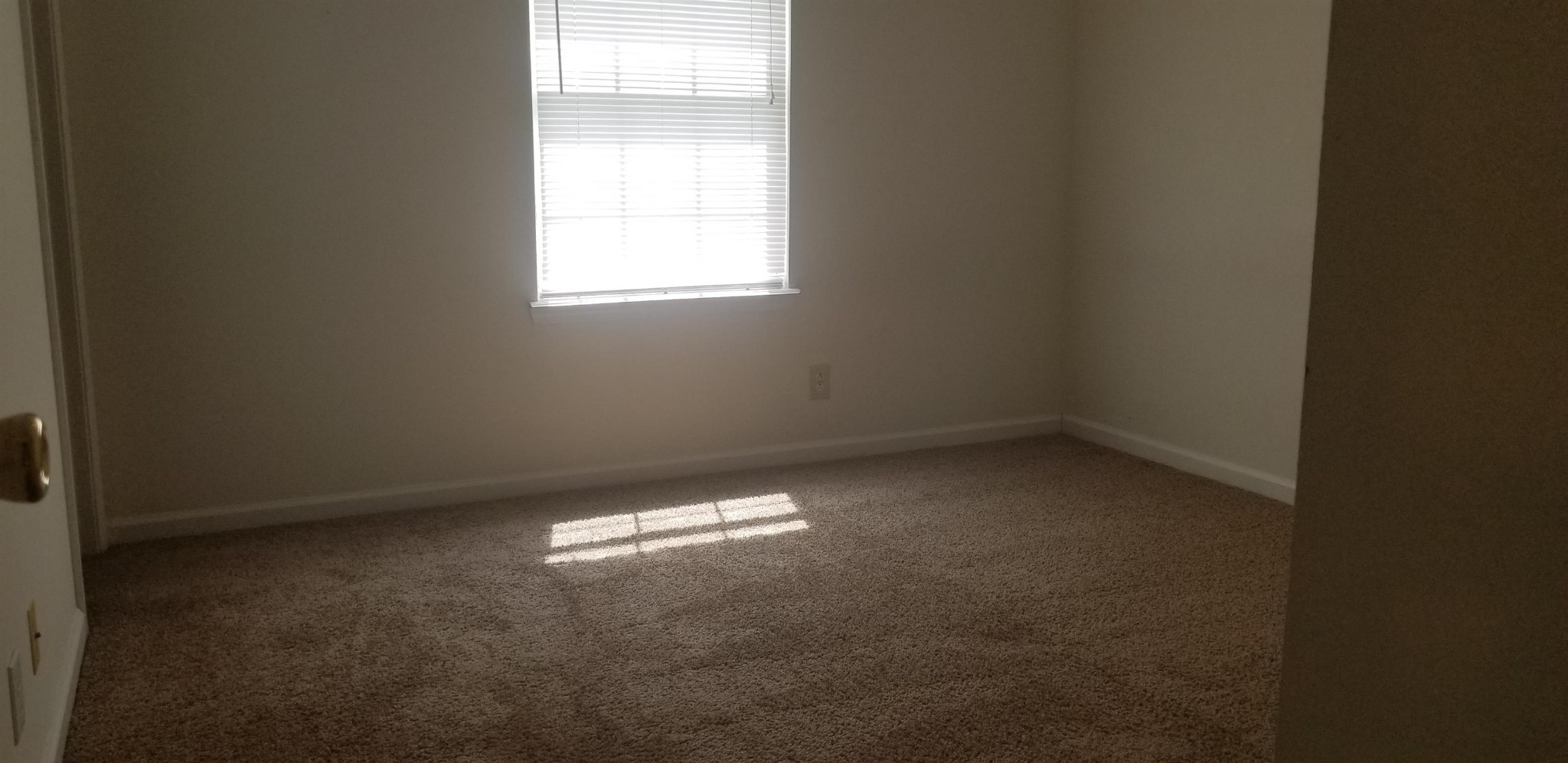 1041 Shadow Ridge Avenue Oak Grove, KY 42262 - Photo 9 of 11 an empty room with a window