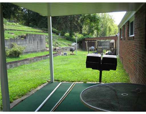 420 Spring Valley Road West Mifflin, PA 15122 - Photo 14 of 17 Yard/Garden.