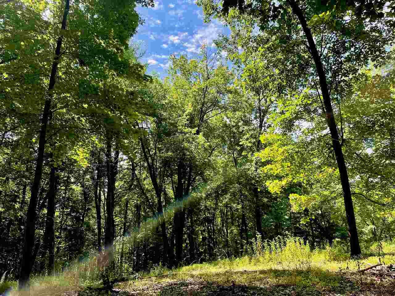 Tbd Lower Whitfield Road Accord, NY 12404 - Photo 2 of 12 Photo 2