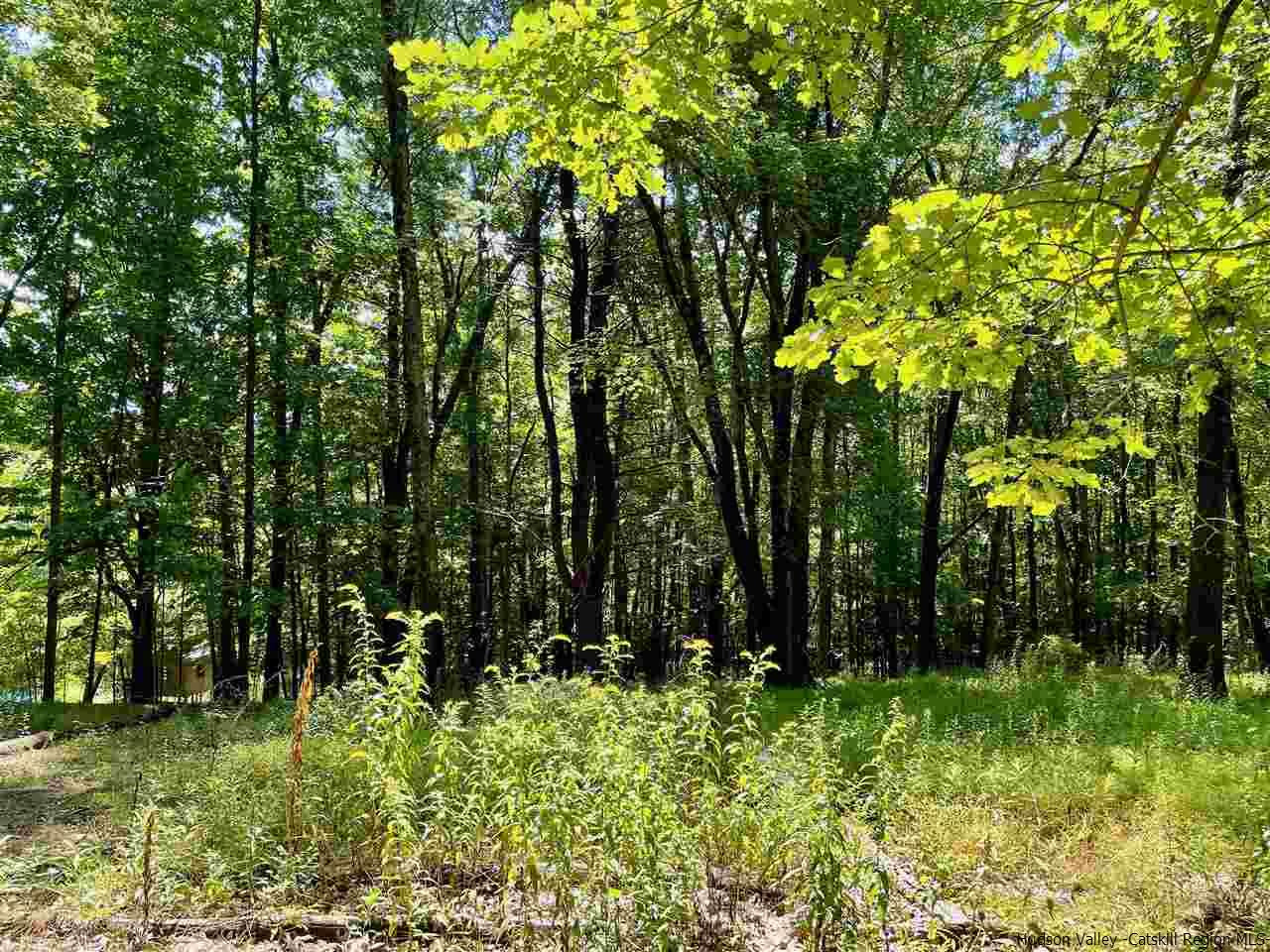 Tbd Lower Whitfield Road Accord, NY 12404 - Photo 4 of 12 Photo 4