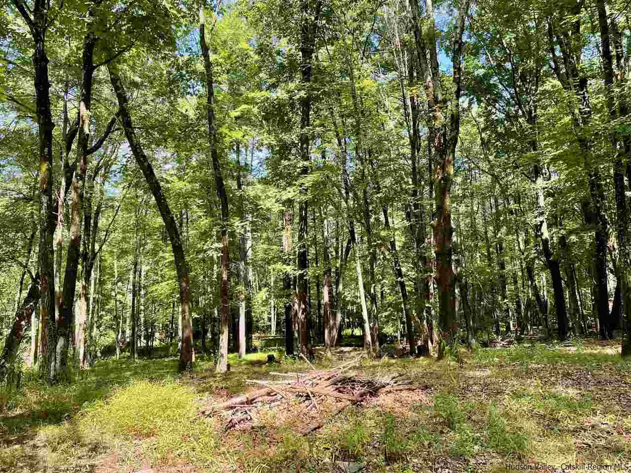 Tbd Lower Whitfield Road Accord, NY 12404 - Photo 5 of 12 Photo 5