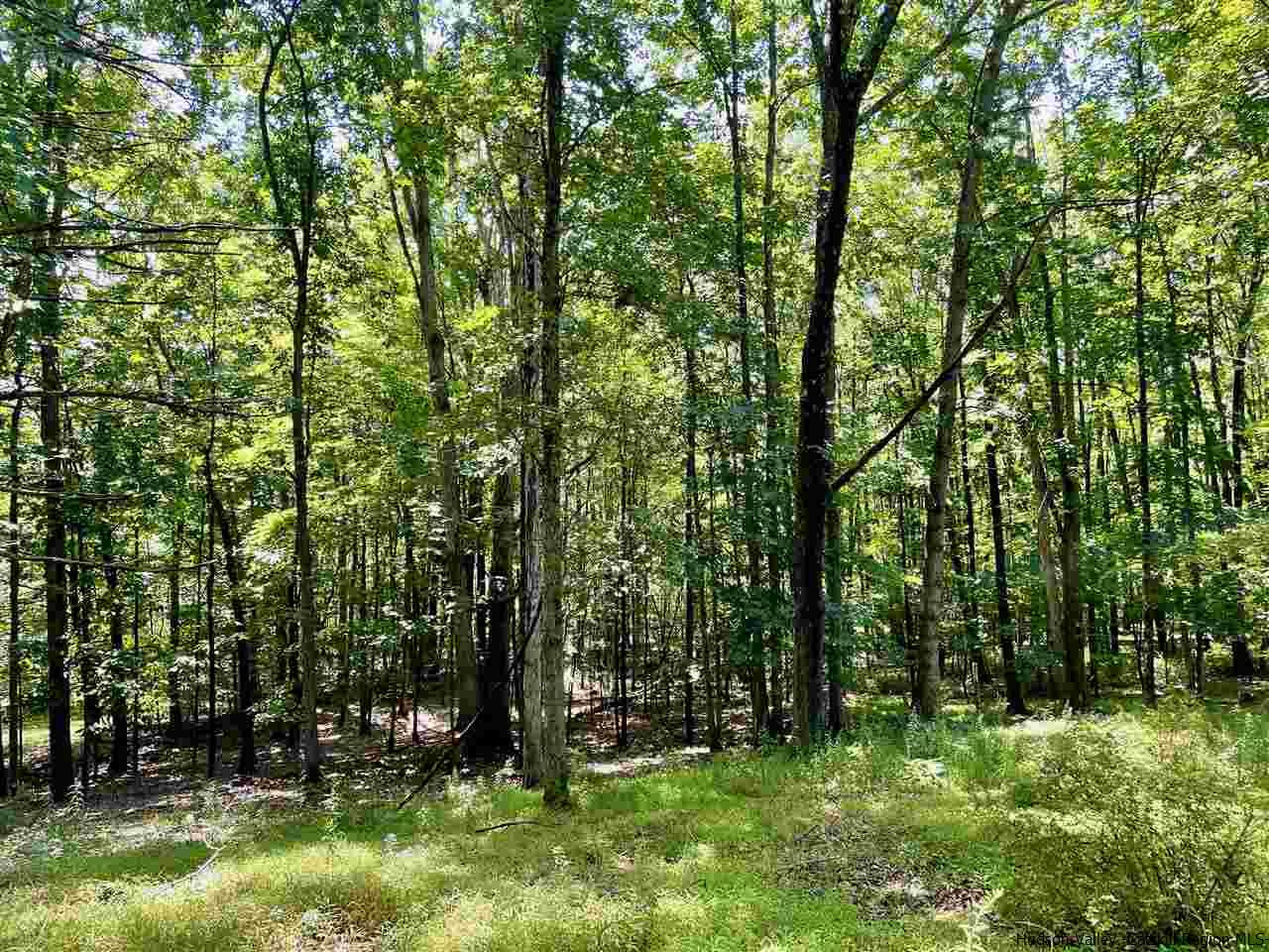 Tbd Lower Whitfield Road Accord, NY 12404 - Photo 6 of 12 Photo 6