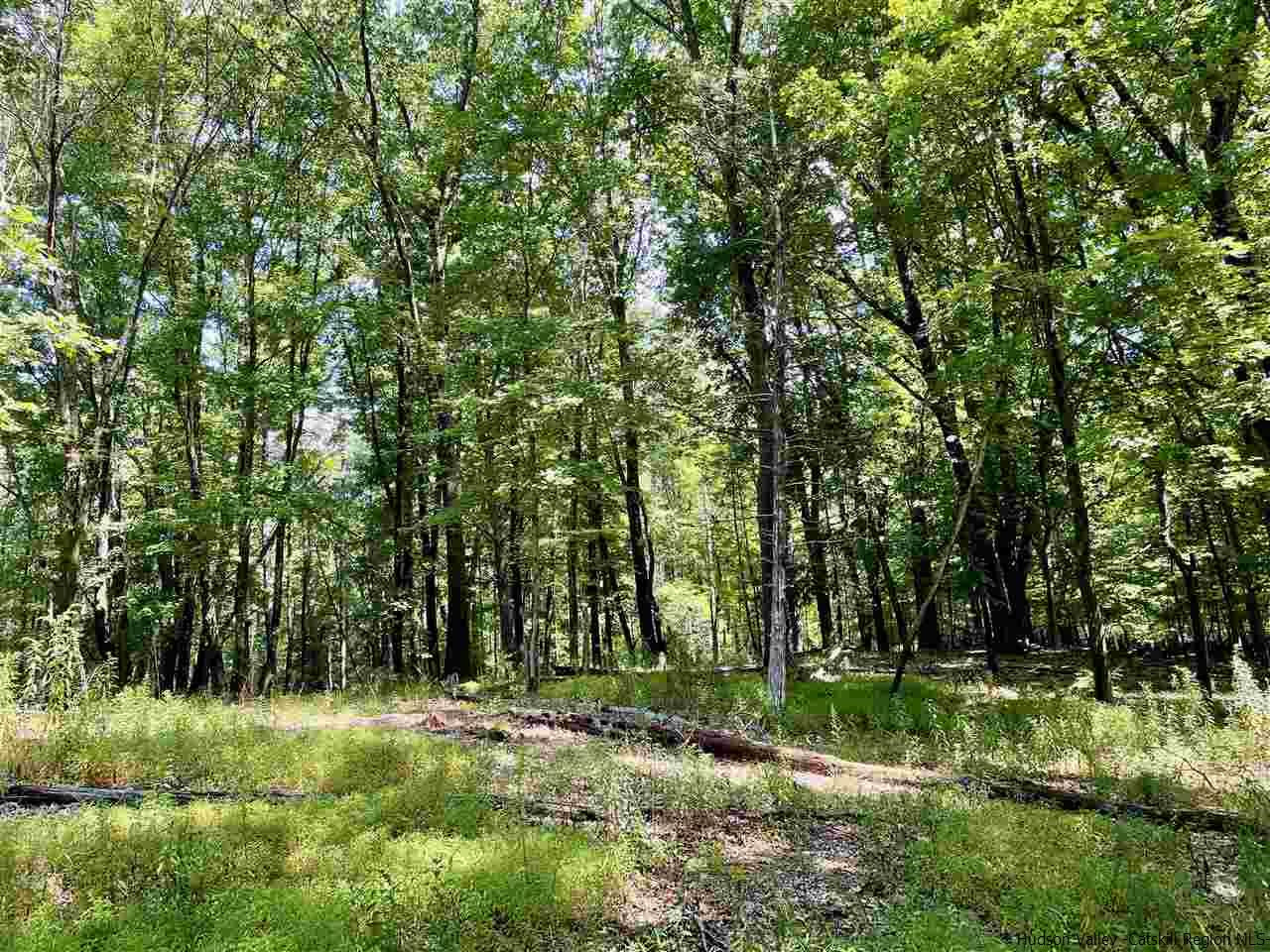 Tbd Lower Whitfield Road Accord, NY 12404 - Photo 7 of 12 Photo 7