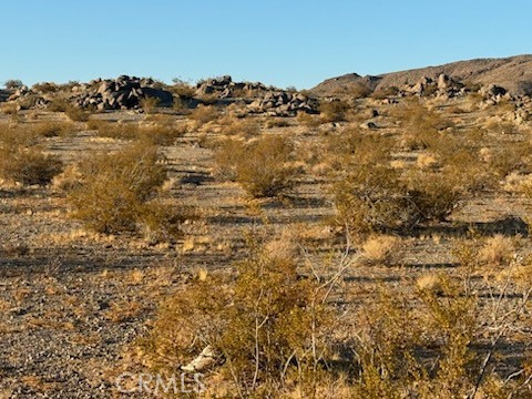 0 Smoke Bush Road Lucerne Valley, CA 92356 - Photo 1 of 1 Standing in front of the lot looking north.