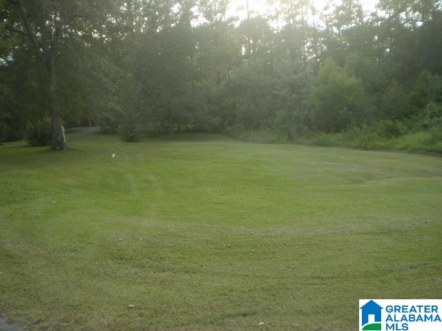 215 Hidden Lane Calera, AL 35040 - Photo 24 of 26