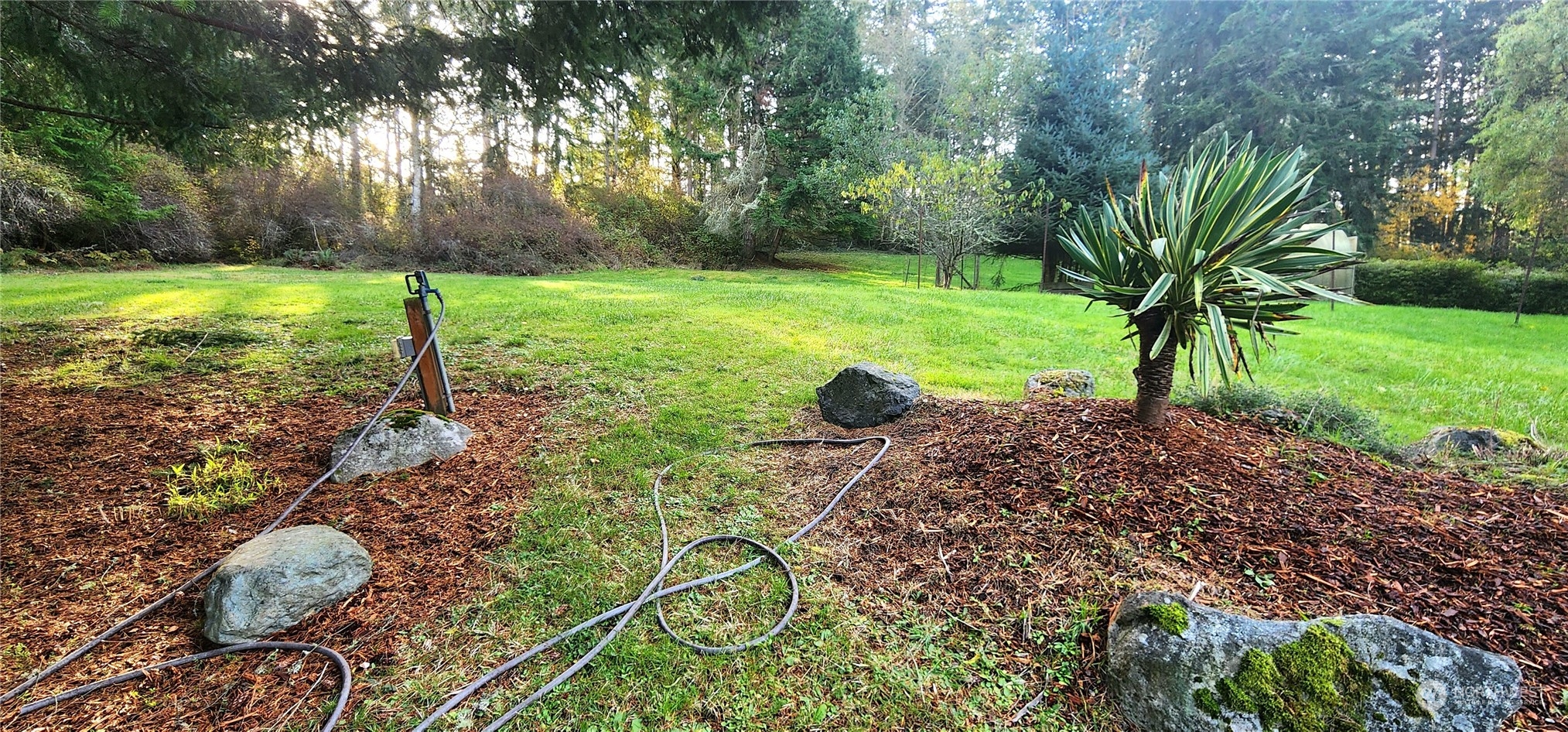 1230 Devries Road Oak Harbor, WA 98277 - Photo 32 of 39 a view of yard with green space