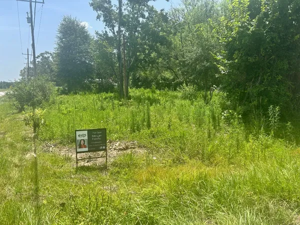 a view of a garden with a bench