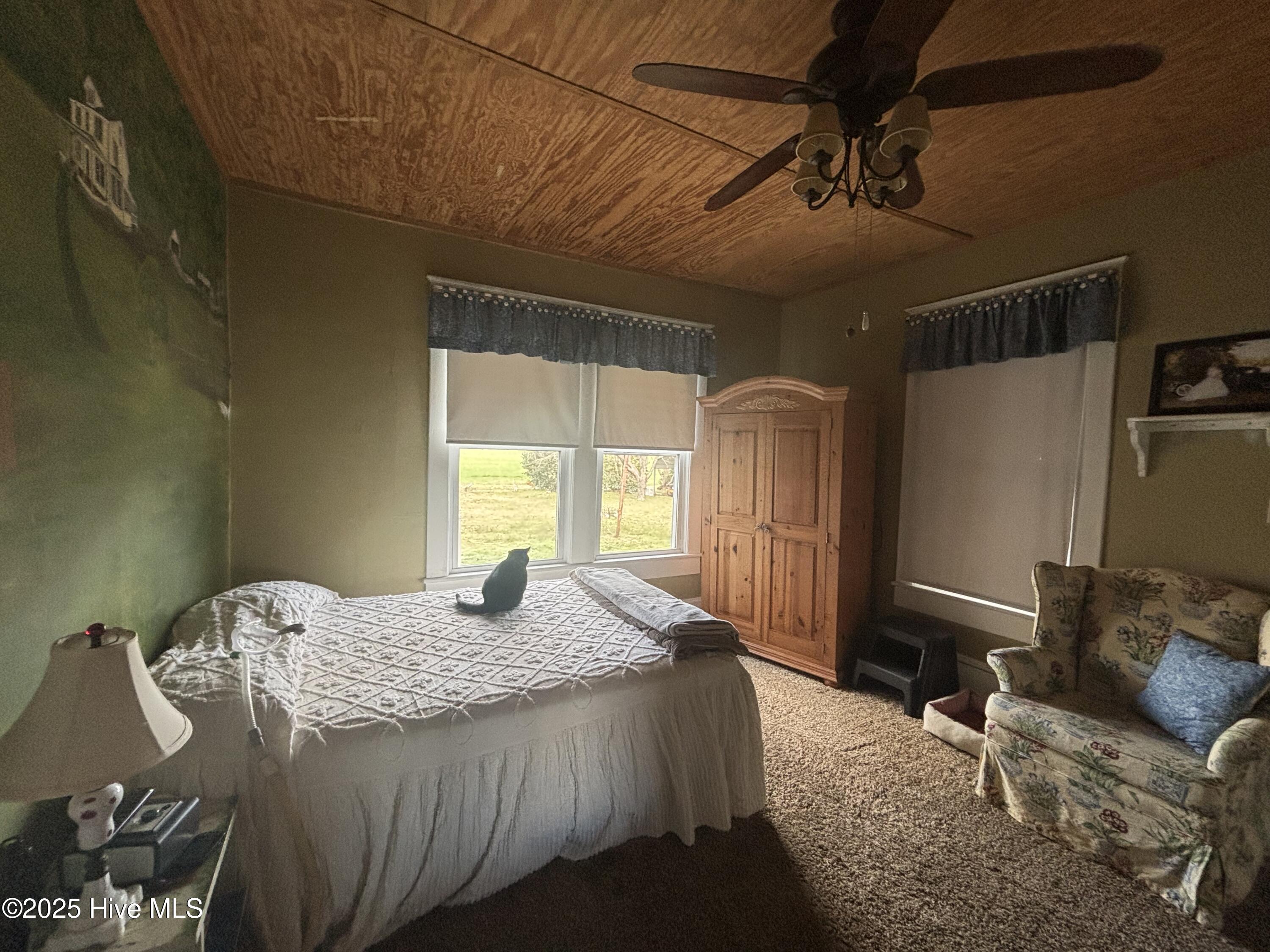 6815 Highway 32 Roper, NC 27970 - Photo 10 of 28 Downstairs bedroom