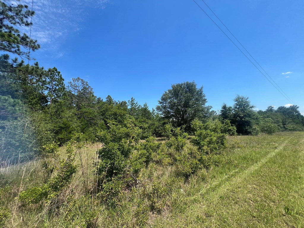 Lot 30 Fairview Road Marianna, FL 32448 - Photo 19 of 30 Gallery Image 19