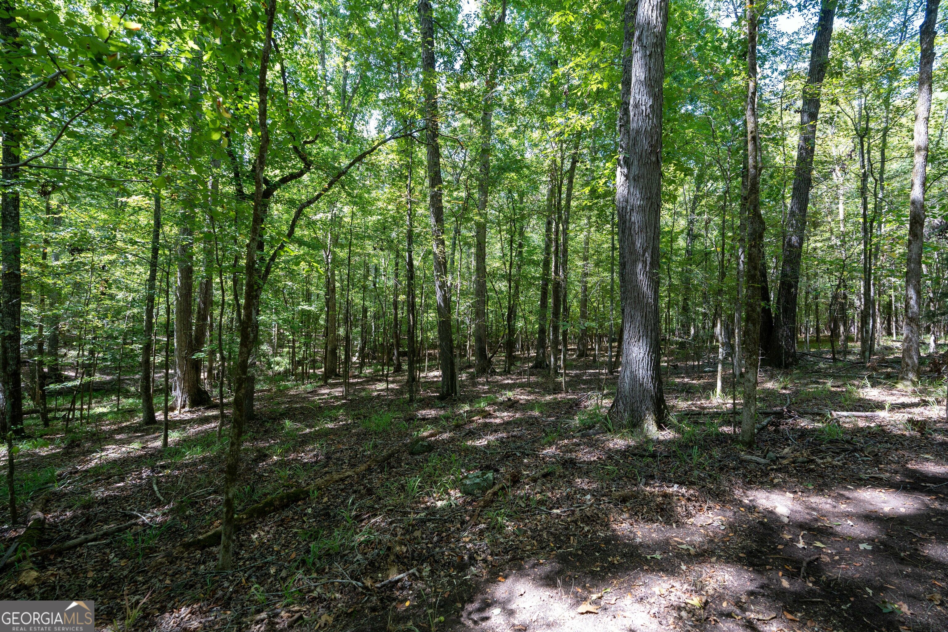 1419 Bobby Brown State Park Road Elberton, GA 30635 - Photo 80 of 90 Gallery Image 80