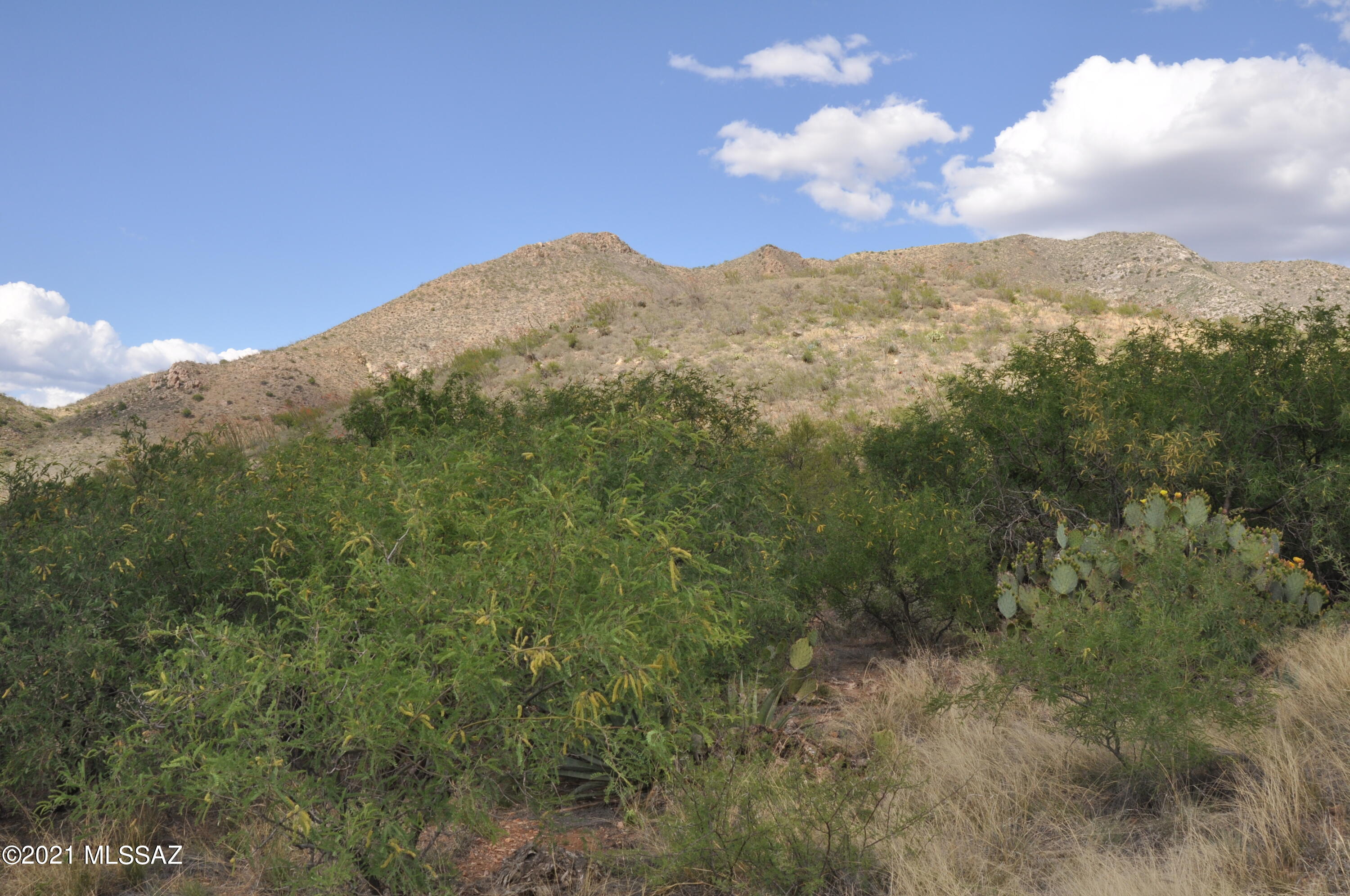 16145 East Hilton Ranch Road Vail, AZ 85641 - Photo 11 of 11