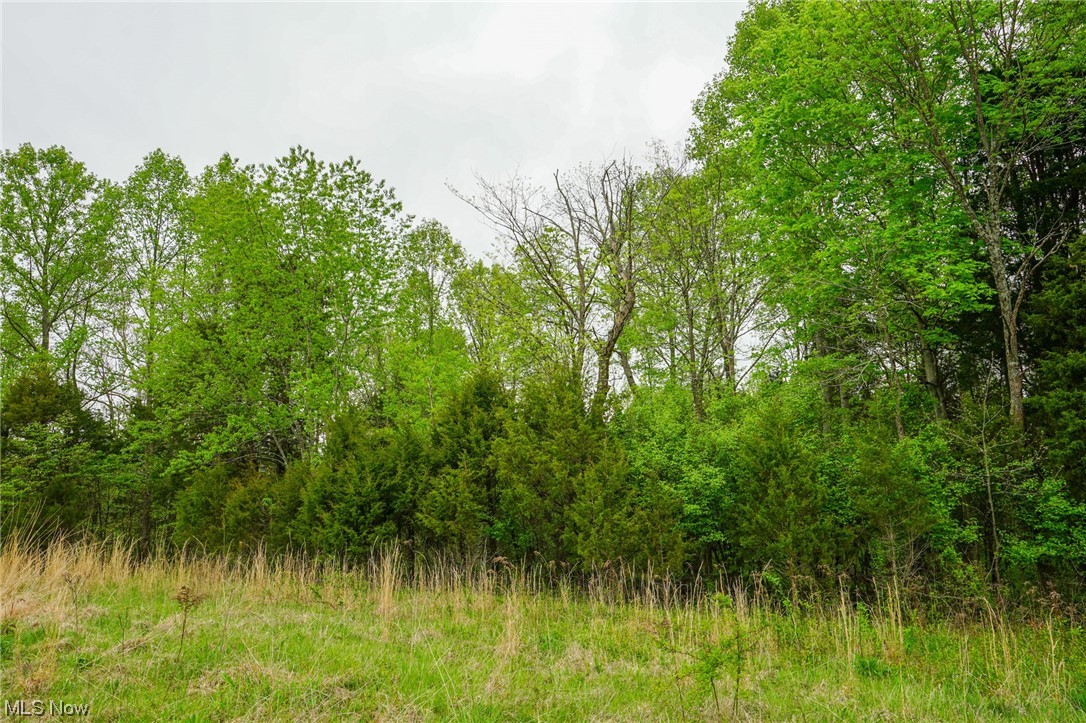 Hill Road Blue Creek, OH 45616 - Photo 7 of 26 Gallery Image 7
