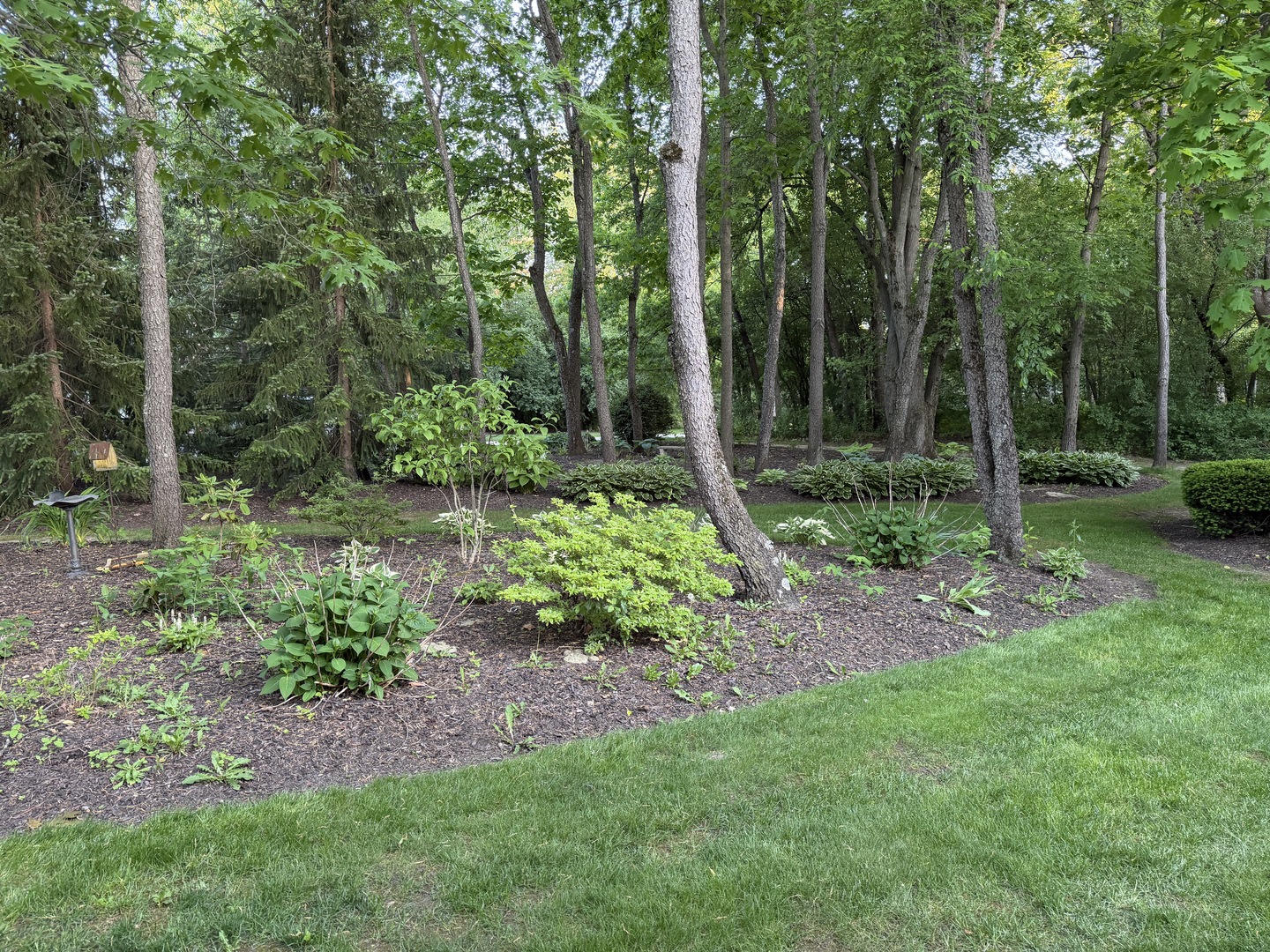 3314 Cardinal Lane Spring Grove, IL 60071 - Photo 5 of 45 Gallery Image 5