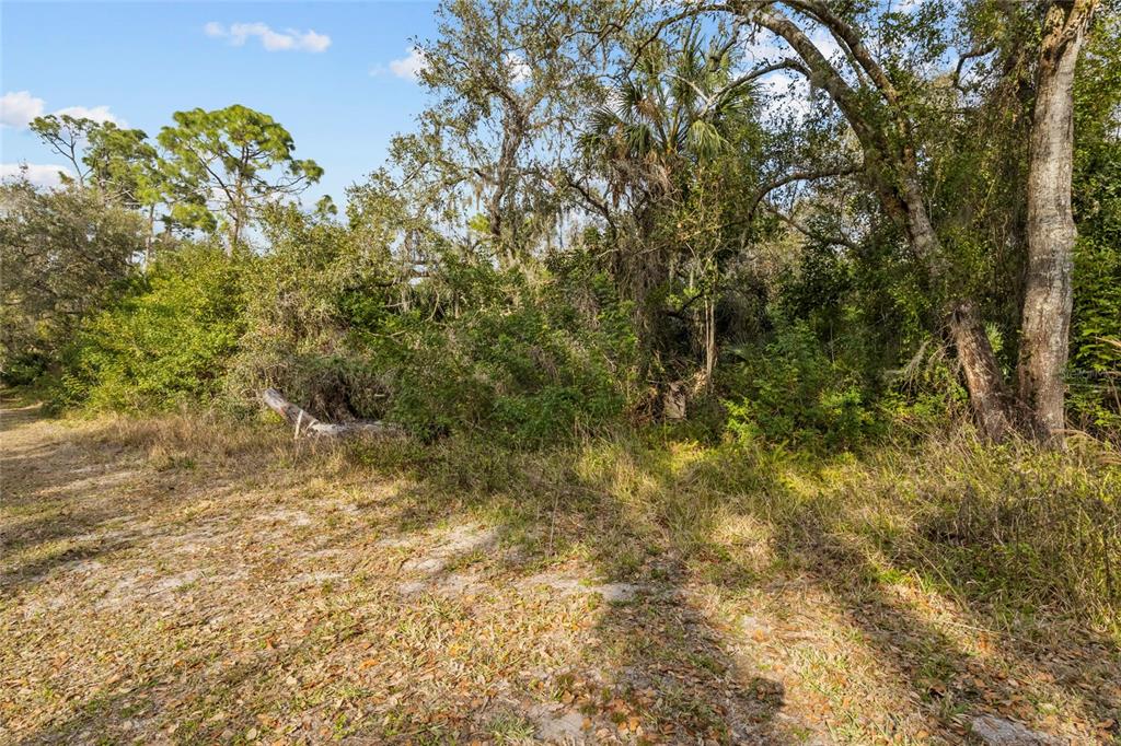 Clark Road Sarasota, FL 34241 - Photo 1 of 15 a view of a large yard with lots of bushes