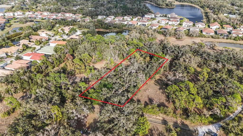 Clark Road Sarasota, FL 34241 - Photo 11 of 15 a close up of a tree