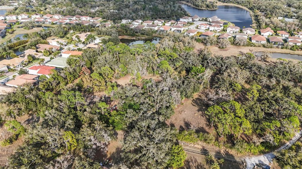 Clark Road Sarasota, FL 34241 - Photo 12 of 15 a close up of a tree