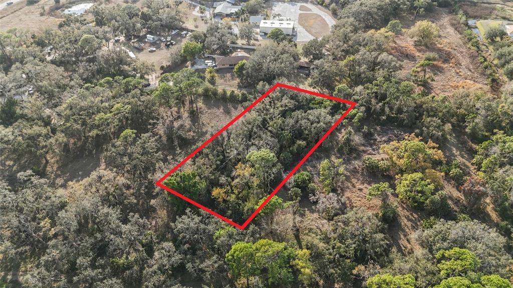 Clark Road Sarasota, FL 34241 - Photo 14 of 15 a view of a park with large trees