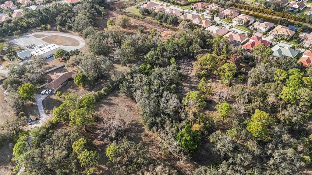 Clark Road Sarasota, FL 34241 - Photo 15 of 15 a view of a tree with a yard