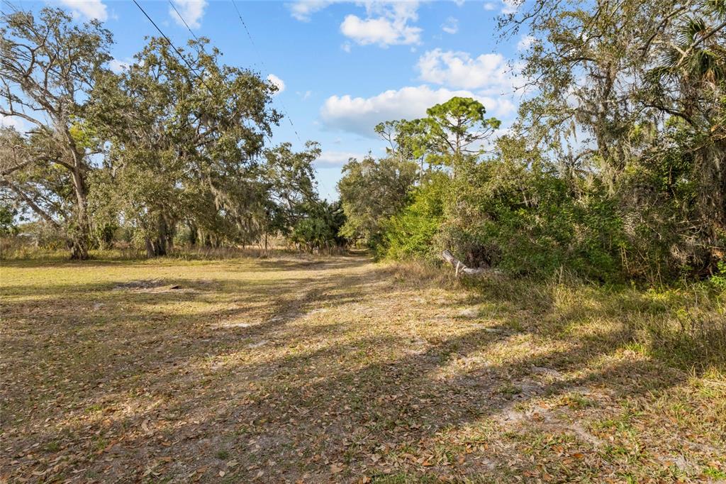 Clark Road Sarasota, FL 34241 - Photo 2 of 15 a view of road and yard
