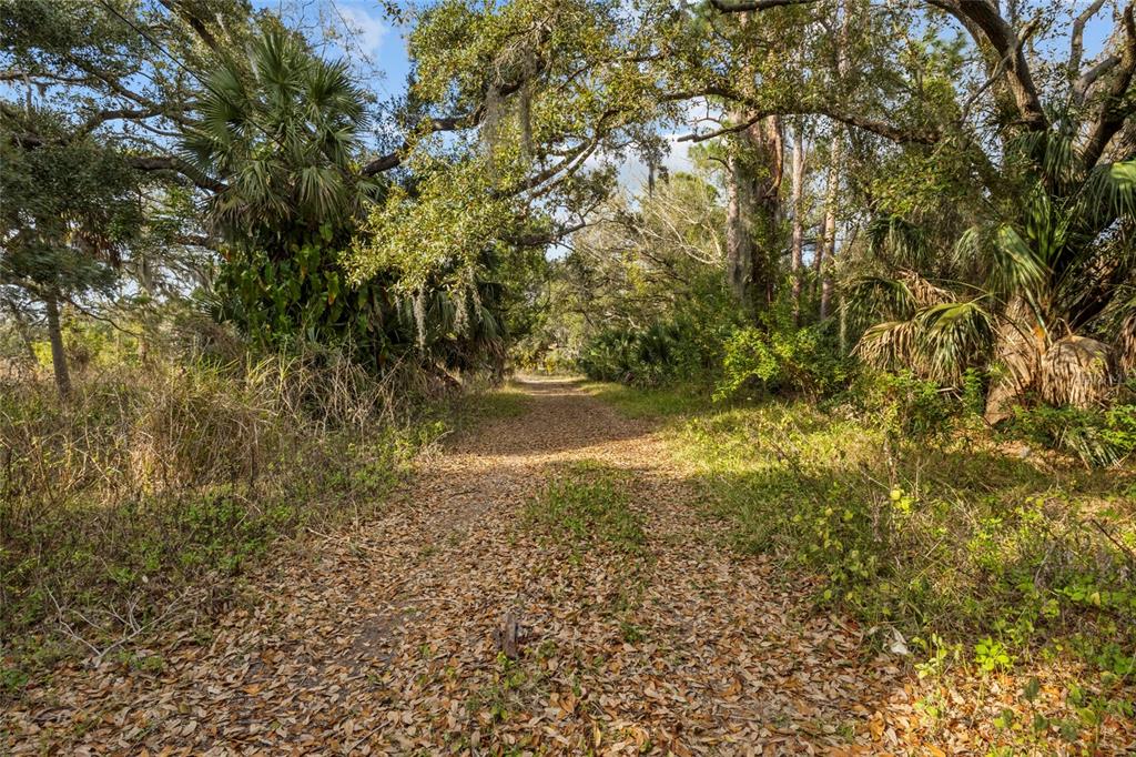 Clark Road Sarasota, FL 34241 - Photo 3 of 15 a view of a yard with a tree