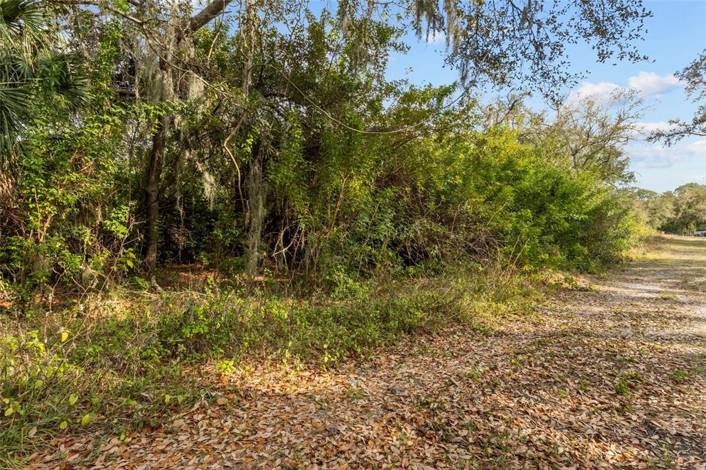 Clark Road Sarasota, FL 34241 - Photo 4 of 15 a view of a yard with plants and wooden fence