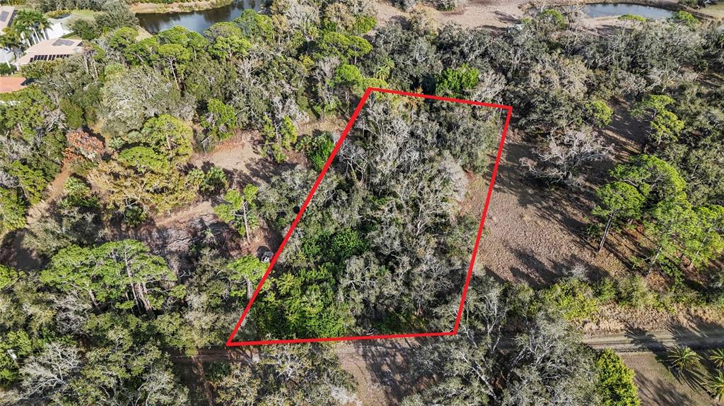 Clark Road Sarasota, FL 34241 - Photo 6 of 15 view of a flower in a yard