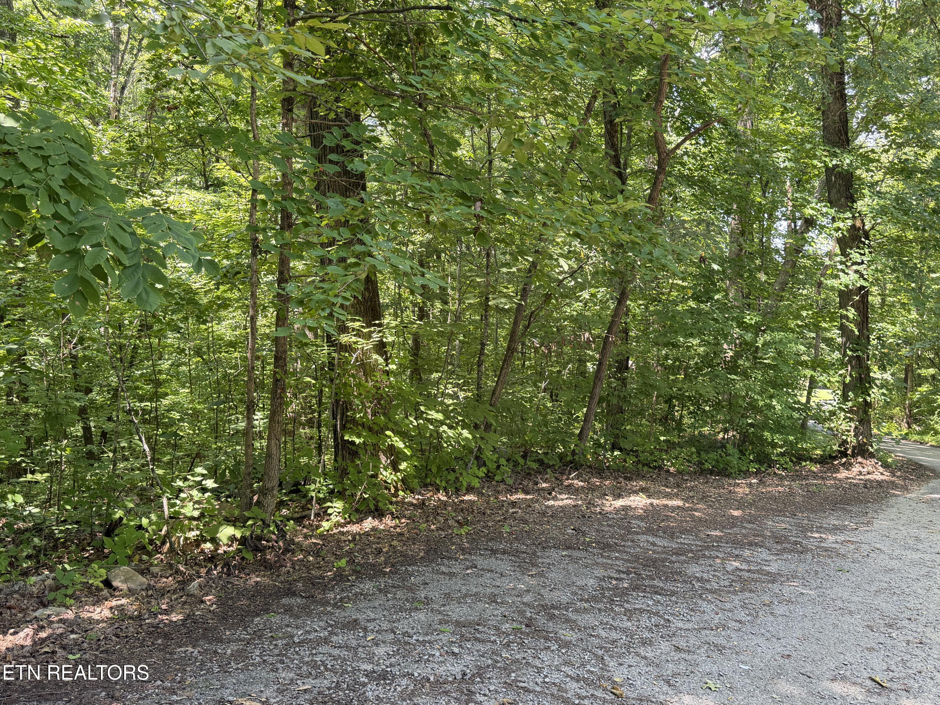 Charles Young Road Walland, TN 37886 - Photo 8 of 14 Top of the Road