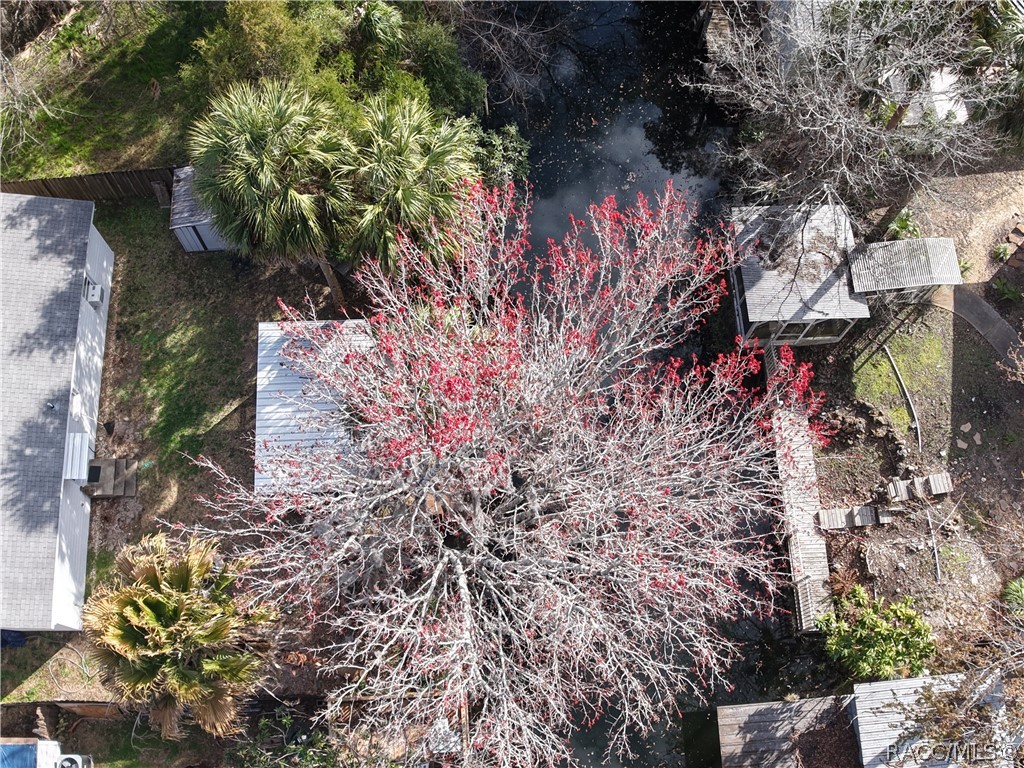 14 Canterbury Road Inglis, FL 34449 - Photo 54 of 59