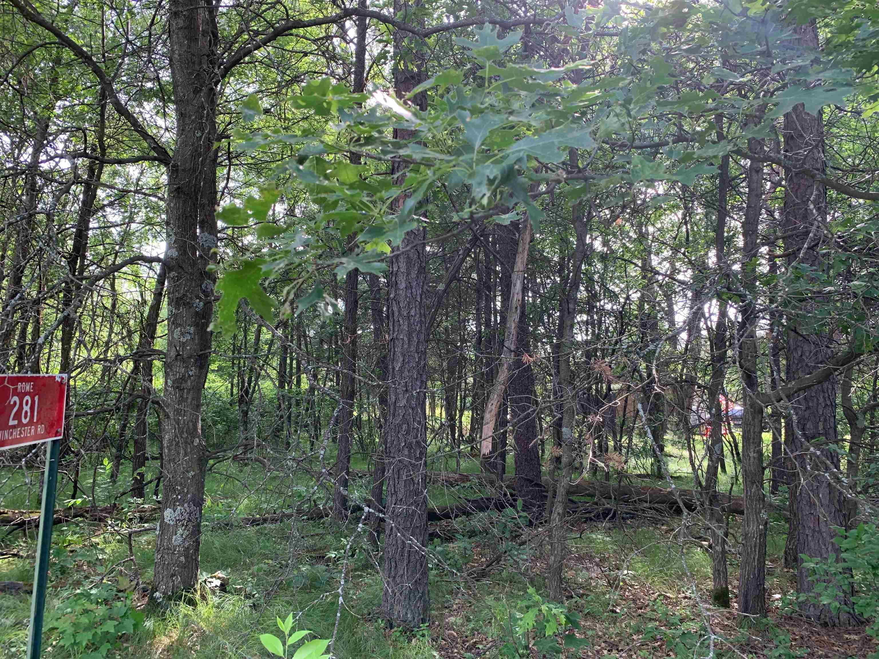 281 Winchester Road Nekoosa, WI 54457 - Photo 3 of 28