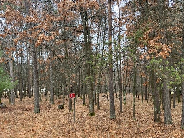 281 Winchester Road Nekoosa, WI 54457 - Photo 4 of 28