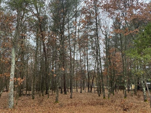 281 Winchester Road Nekoosa, WI 54457 - Photo 5 of 28