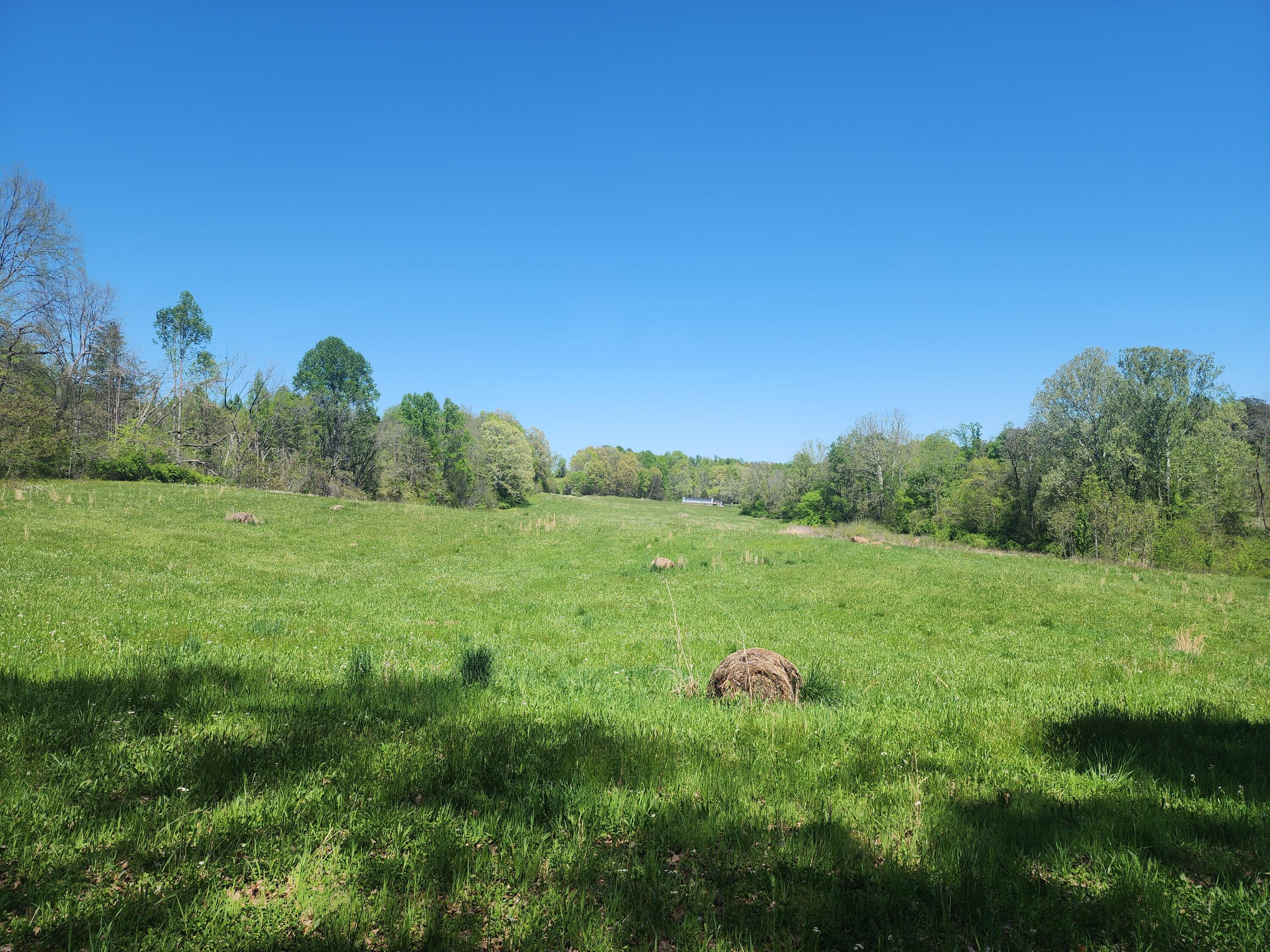 391 George Sell Road Albany, KY 42602 - Photo 11 of 18 20240422_134654
