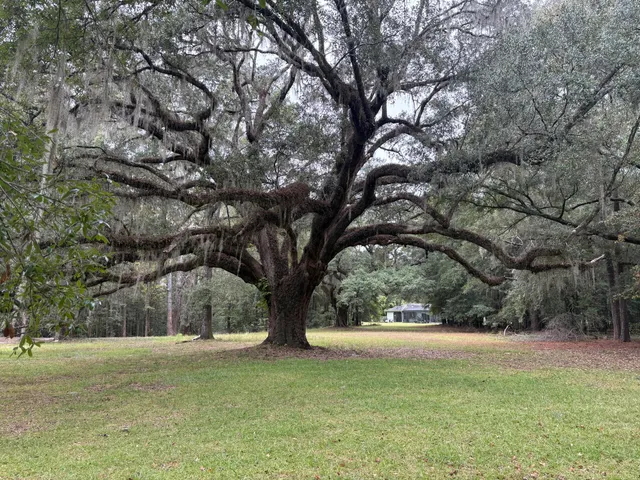 $45,000 | Lot 10 Plantation Lane, Walterboro, SC 29488