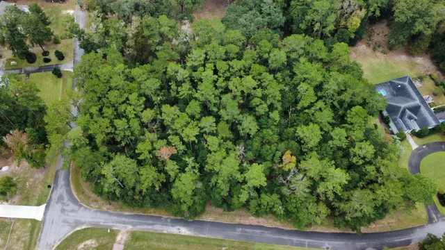 $45,000 | Lot 10 Plantation Lane, Walterboro, SC 29488