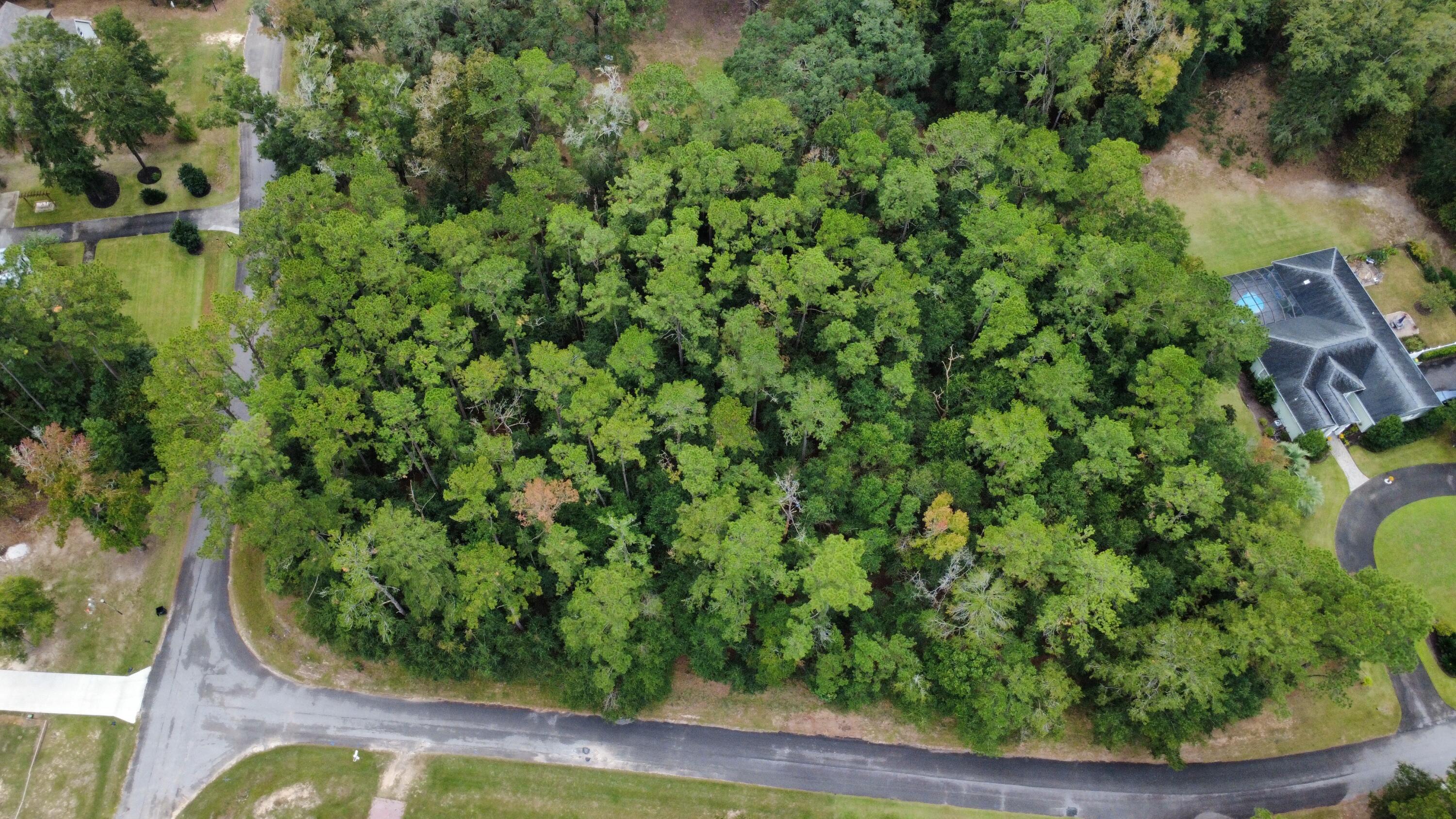 Lot 10 Plantation Lane Walterboro, SC 29488 - Photo 4 of 6 dji_fly_20251027_120402_26_1761581209012