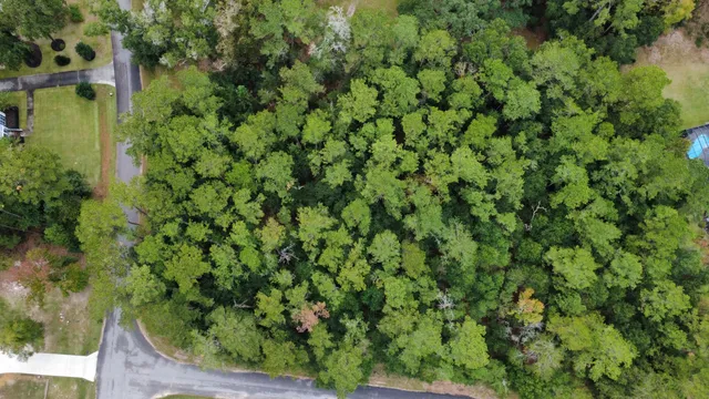 $45,000 | Lot 10 Plantation Lane, Walterboro, SC 29488