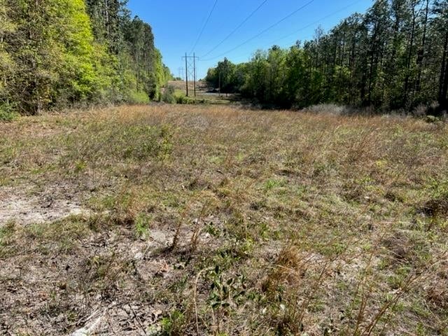 331 US Highway 331 Opp, AL 36467 - Photo 9 of 20 Gallery Image 9