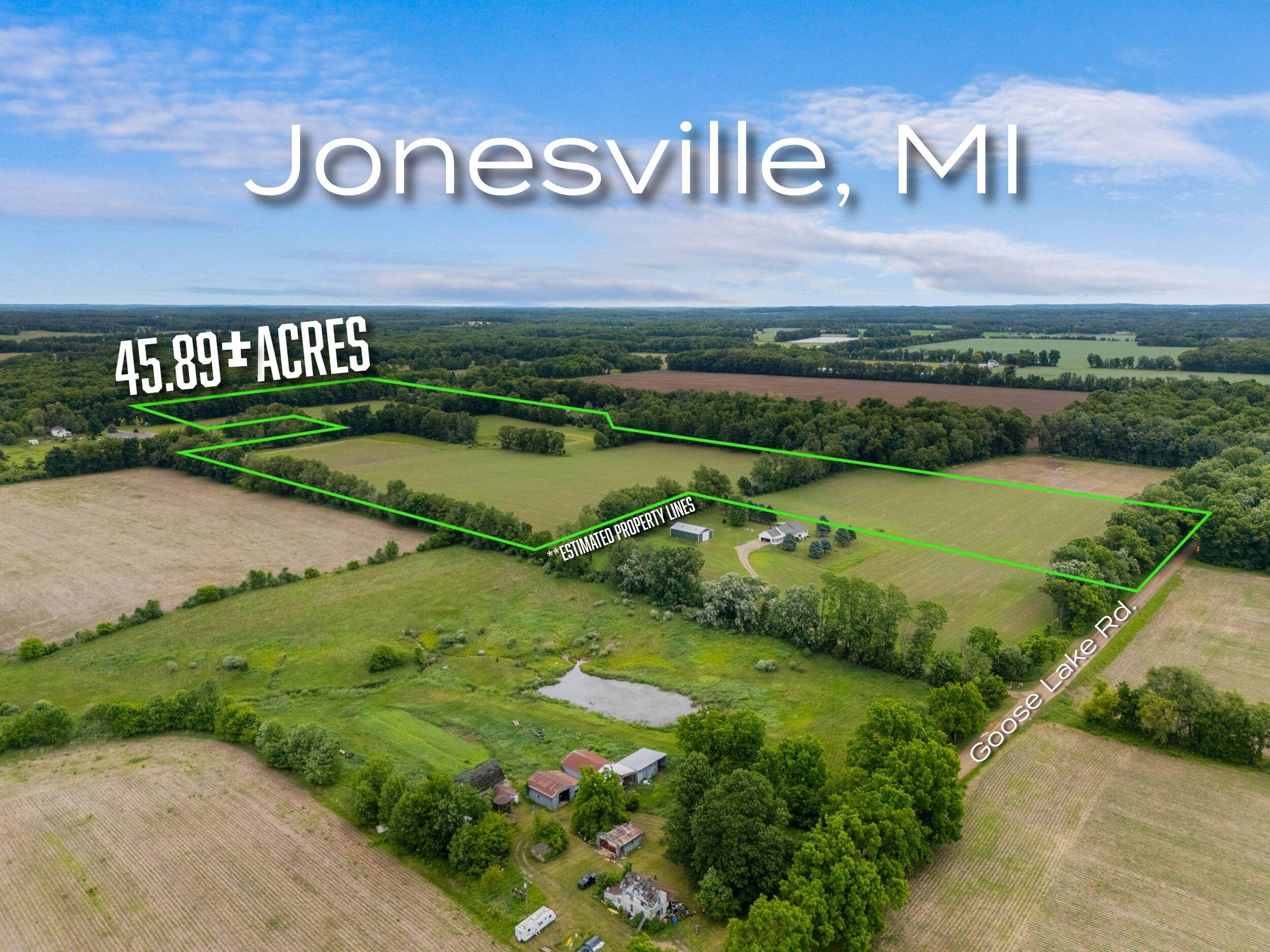 0 Goose Lake Road Jonesville, MI 49250 - Photo 2 of 6 1933