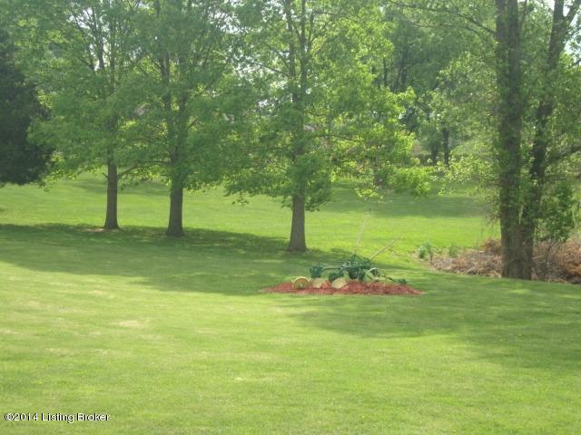 125 Buck Knobs Road Ekron, KY 40117 - Photo 25 of 45 DSC09040